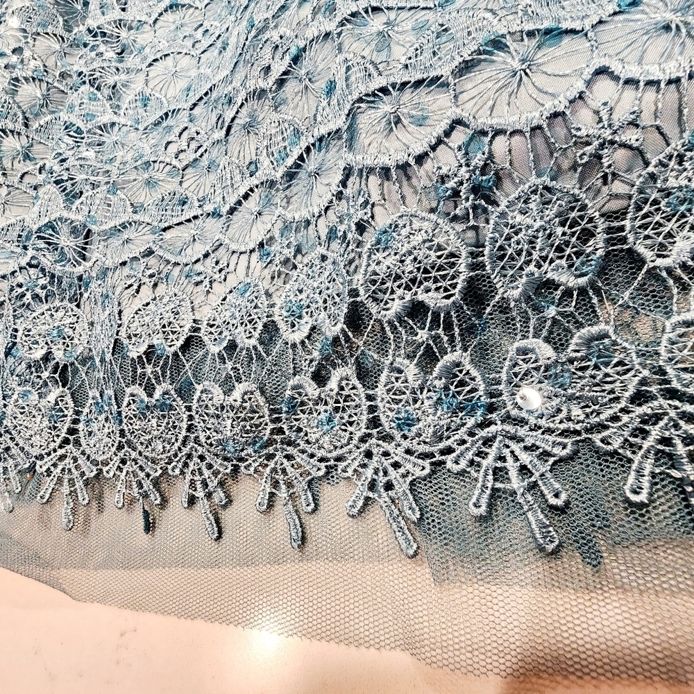 Adrianna Papell Blue Lace Mini Dress - Picture 6 of 14